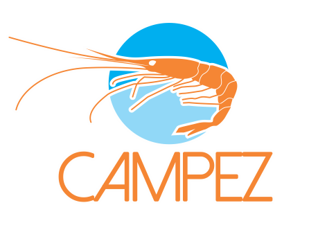 Campez logo